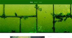 Desktop Screenshot of intelligentsolar.net